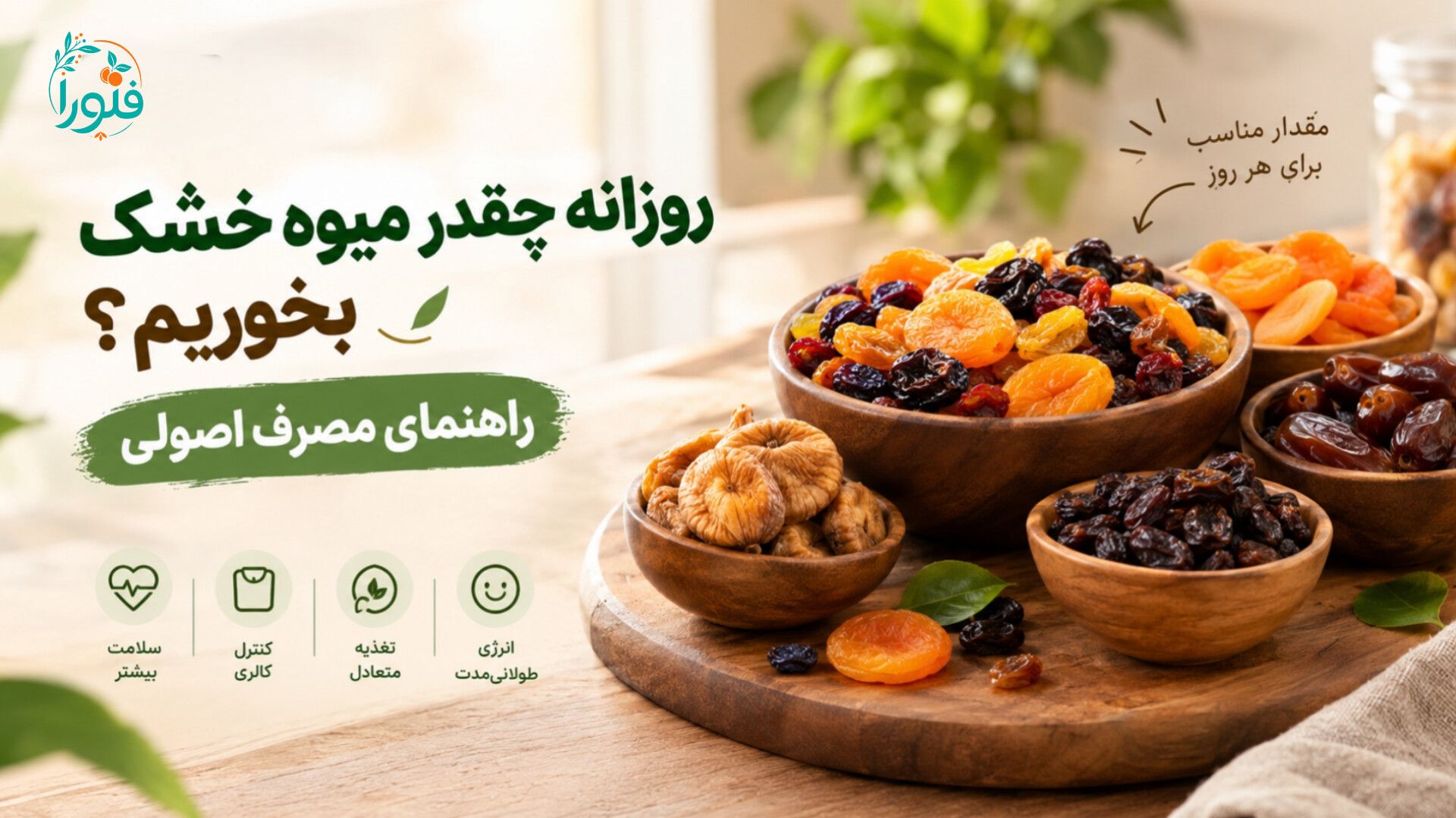روزانه چقدر میوه خشک بخوریم؟راهنمای مصرف اصولی