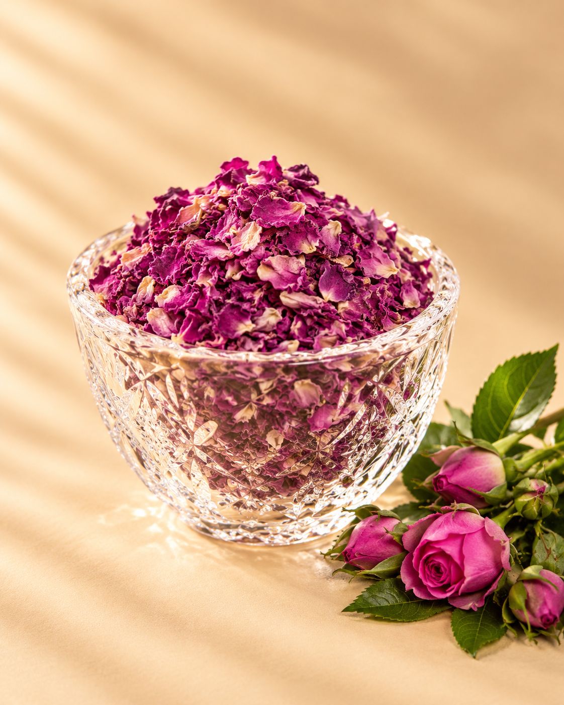 گل محمدی خشک شده | گل سرخ خشک طبیعی و معطر برای دمنوش